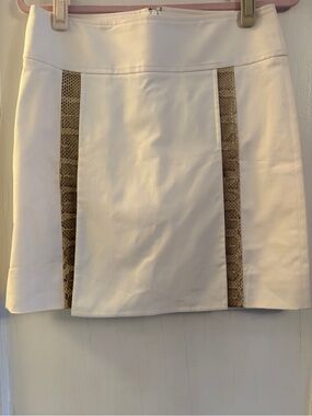 Dolce & Gabbana White Mini Skirt with Python Insets